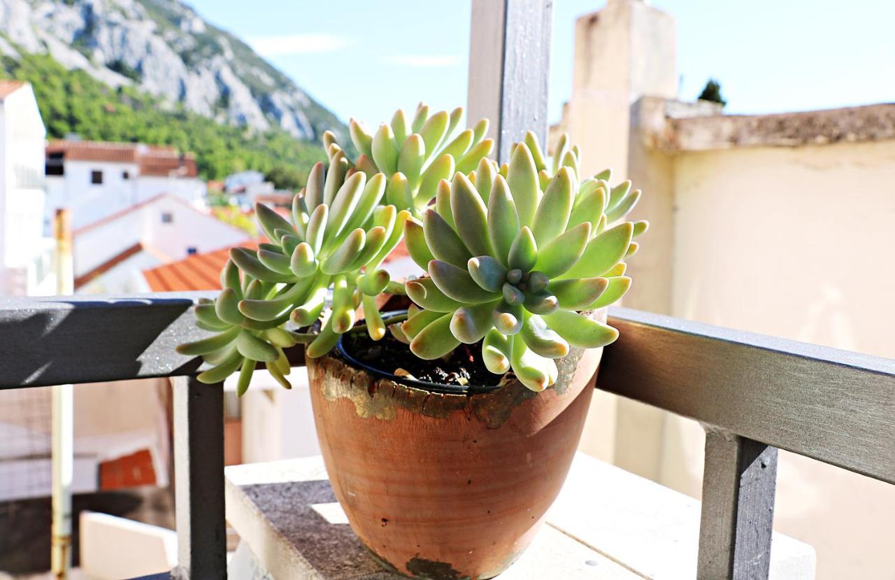 Appartement Roso à Gradac  Extérieur photo